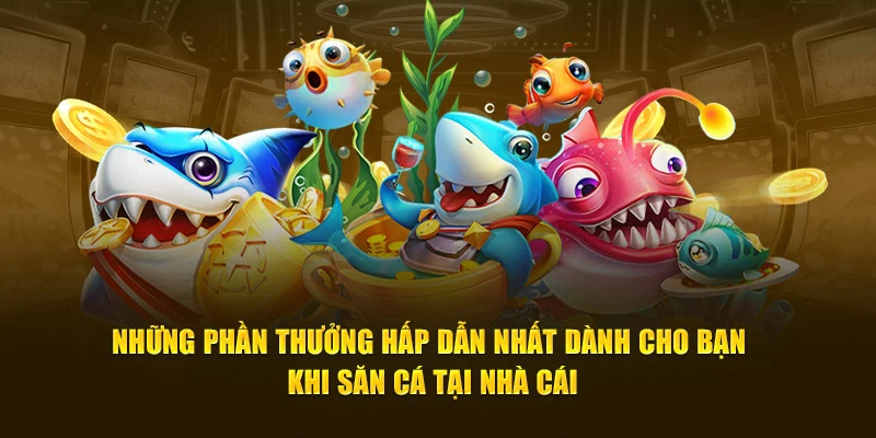 Những phần thưởng hấp dẫn khi săn cá tại nhà cái